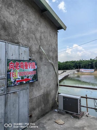 向老弯垂钓园钓场环境照片