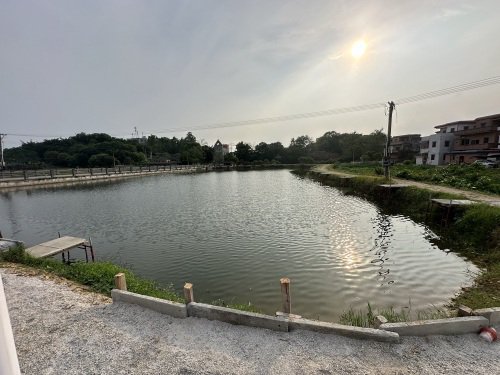 浩天钓场钓点与钓场环境照片