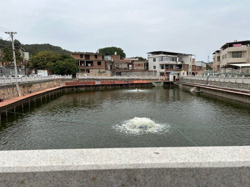 桃花山钓场钓场环境照片