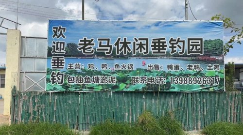 老马休闲垂钓园钓点与钓场环境照片