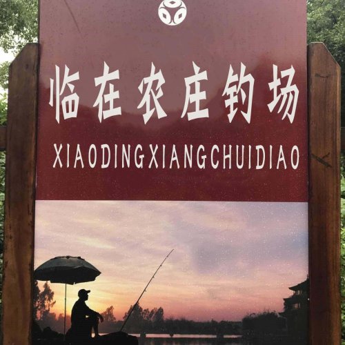 临在农庄钓场钓点与钓场环境照片