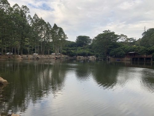 横迳钓鱼场钓点与钓场环境照片