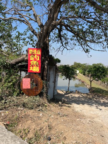 乐逍遥钓鱼场钓点与钓场环境照片