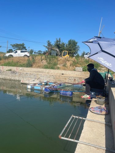 王家夼垂钓园钓点与钓场环境照片