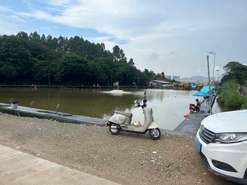 海盛休闲钓鱼场钓点与钓场环境照片