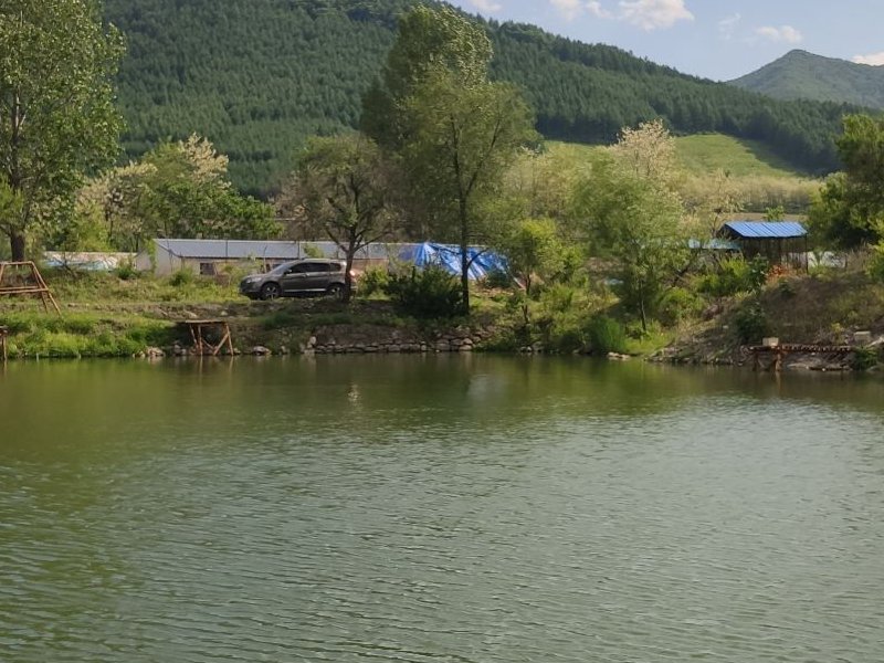 胡堡垂钓园钓场环境照片