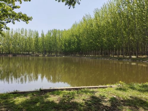 拒城河垂钓园钓点与钓场环境照片