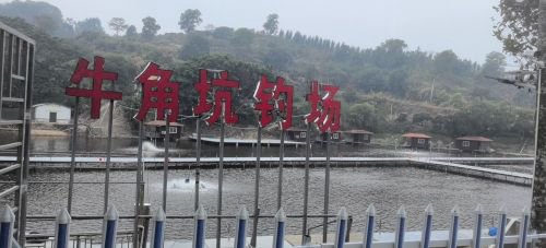 牛角坑钓场钓点与钓场环境照片