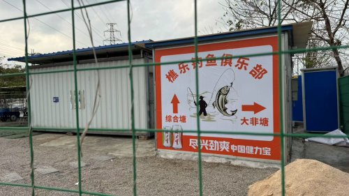 樵乐钓鱼场大非塘钓点与钓场环境照片