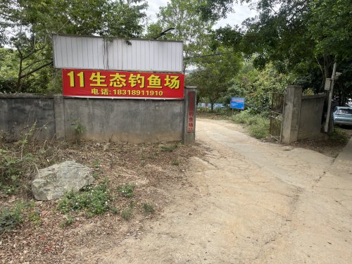 11生态钓鱼场钓点与钓场环境照片