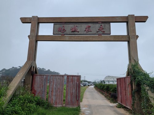 鹏城农夫葡萄园钓鱼场钓点与钓场环境照片