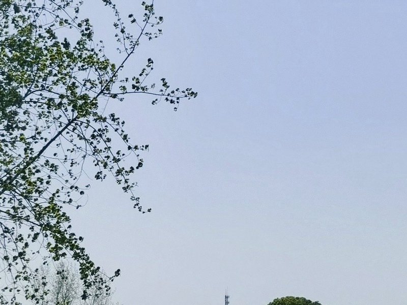 日月湖垂钓乐园钓点与钓场环境照片