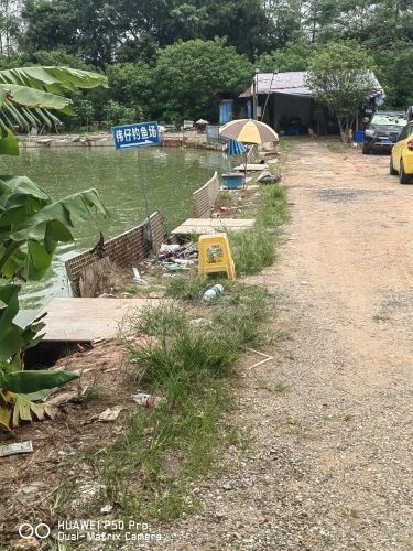 伟仔钓鱼场钓点与钓场环境照片