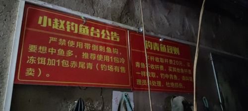 小赵钓鱼台钓场环境照片