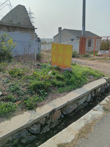 大家乐垂钓园钓场环境照片