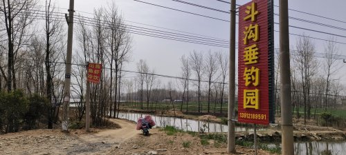 斗沟垂钓园钓场环境照片