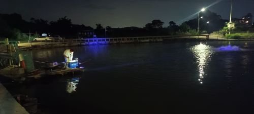 向必荣钓鱼场钓点与钓场环境照片