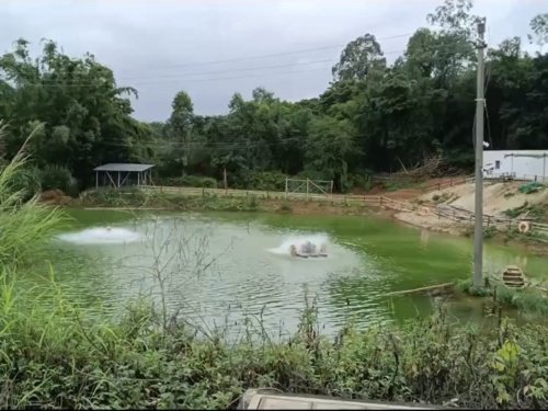 贤聚休闲钓鱼场钓场环境照片