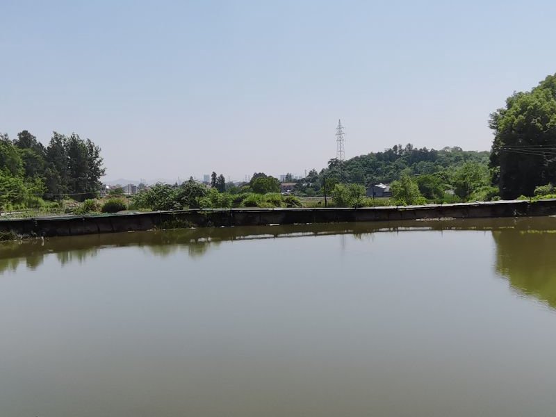明联休闲钓场钓点与钓场环境照片