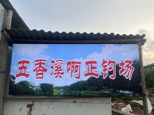 五香溪啊正钓场钓点与钓场环境照片