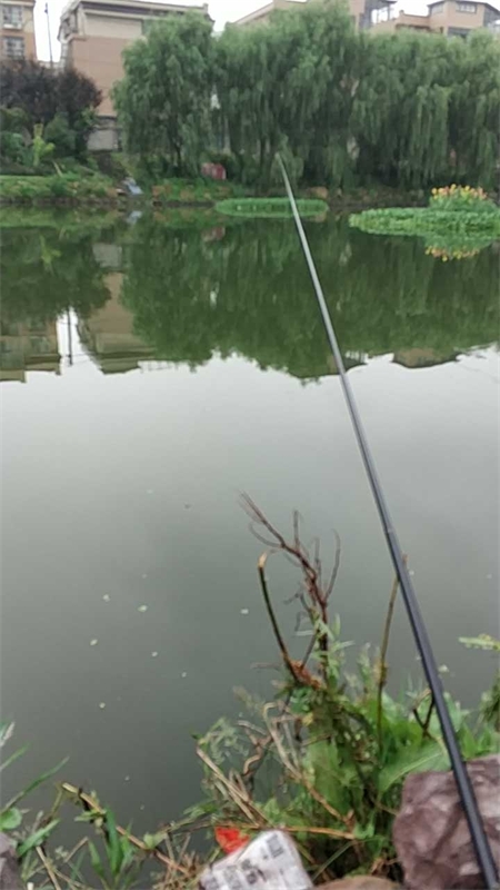 外姚家河塘钓点与钓场环境照片