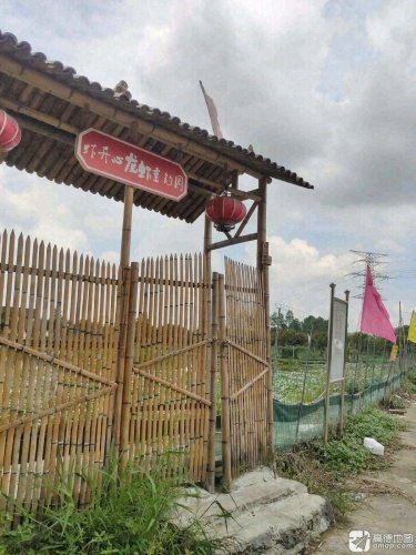 虾开心龙虾垂钓园钓点与钓场环境照片