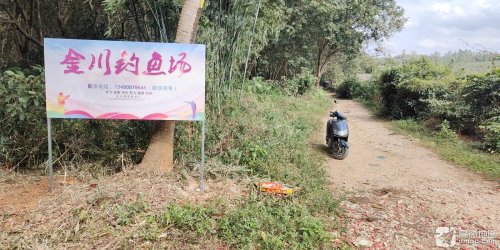 儋州市八一农场金川钓鱼场钓场环境照片