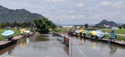 鳌飞休闲垂钓中心钓点与钓场环境照片