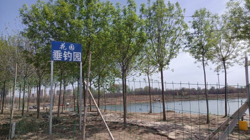 花园垂钓园钓场环境照片