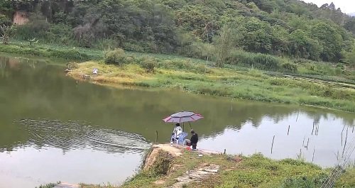 阿彬钓场白云钓鱼场钓点与钓场环境照片