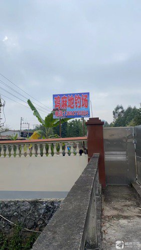 鸡麻地钓场钓点与钓场环境照片