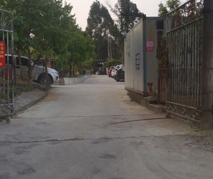 连江农家钓鱼场钓场环境照片