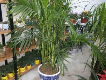 雨轩花坊绿植渔具渔具店门店图片