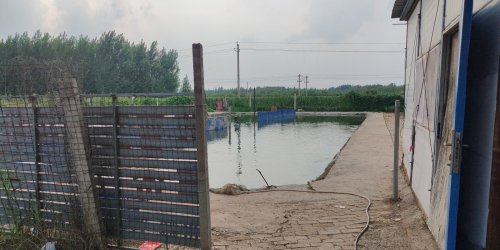 邱庄子垂钓园钓场环境照片