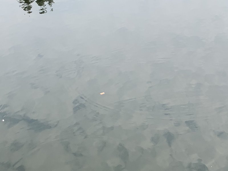十八亩休闲垂钓园钓点与钓场环境照片