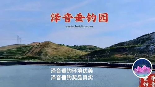 泽音垂钓园钓场环境照片