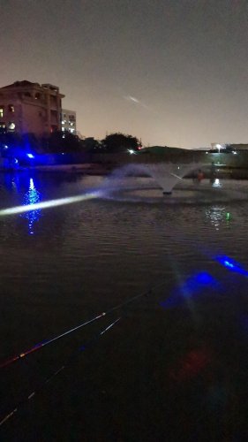 老林钓场钓场环境照片
