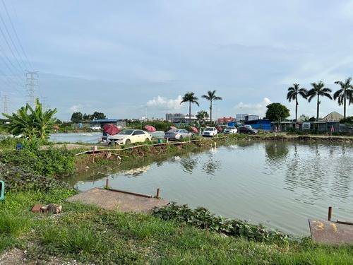 921钓场钓点与钓场环境照片