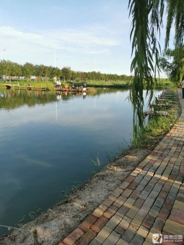 天津宁河东哥垂钓钓点与钓场环境照片