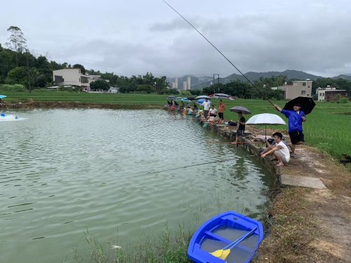 硁头垂钓园钓点与钓场环境照片