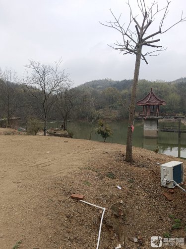 军民垂钓钓场环境照片