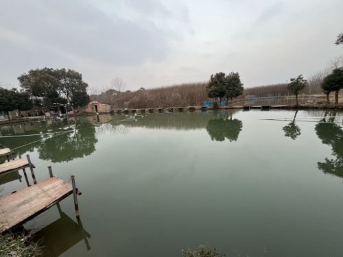 正好垂钓休闲中心钓场环境照片