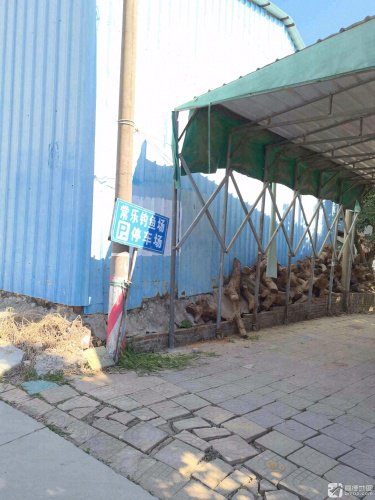 常乐钓鱼场钓点与钓场环境照片