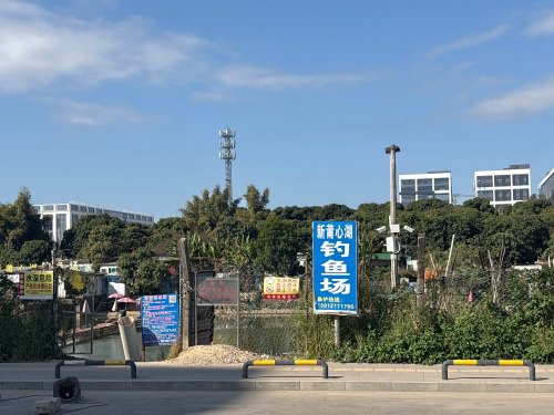 新莆心湖钓鱼场钓点与钓场环境照片