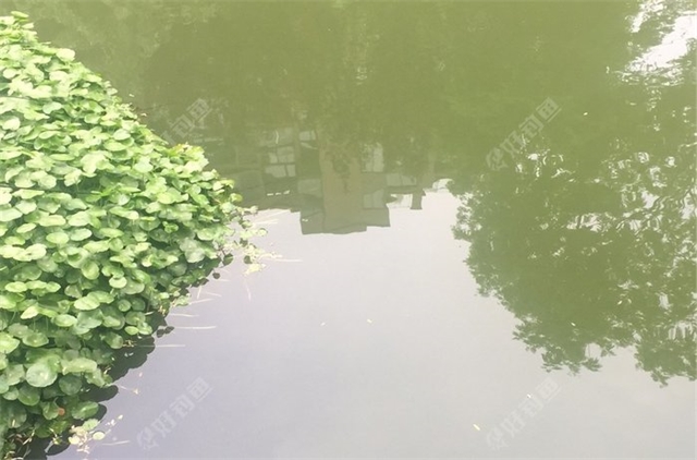 固陵路玲珑府小区旁河边钓点与钓场环境照片