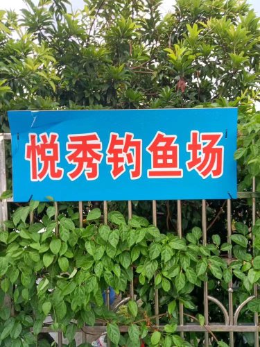悦秀钓鱼场钓点与钓场环境照片