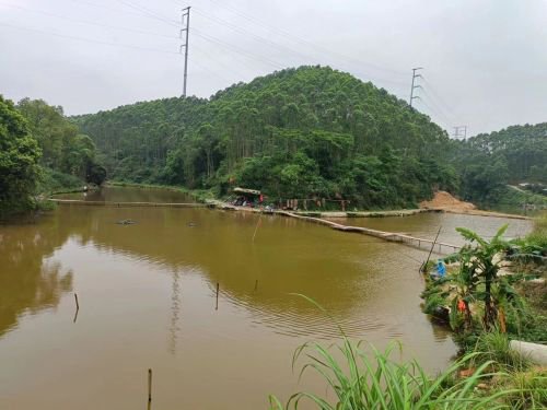 沙帽岭钓鱼娱乐场钓场环境照片