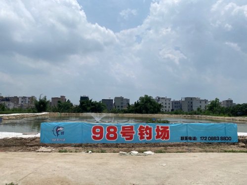 98号钓场钓点与钓场环境照片
