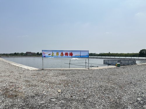 上岸垂钓场钓点与钓场环境照片