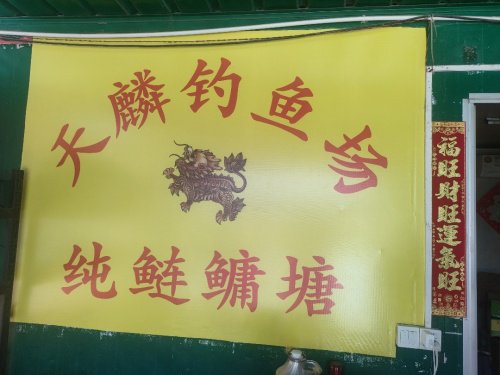 天麟钓鱼场钓点与钓场环境照片